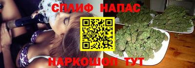 дмт Новозыбков