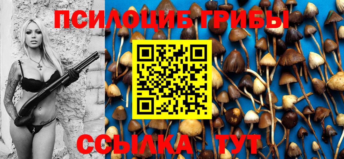 Галлюциногенные грибы прущие грибы  Галлюциногенные грибы Magic Shrooms  Вход с VPN  дарнет шоп  Печора 