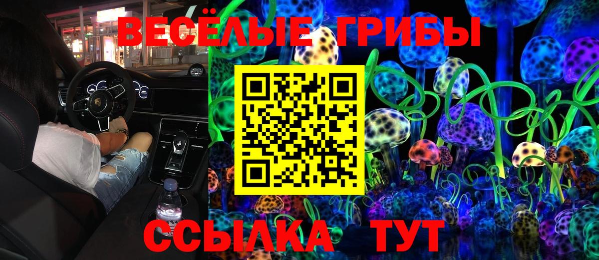 Галлюциногенные грибы Cubensis Печора